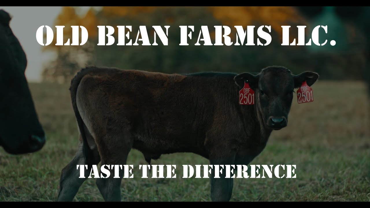 Old Bean Farms Testimonial