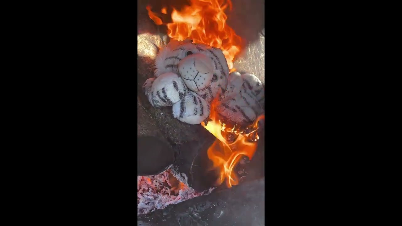 burning plush