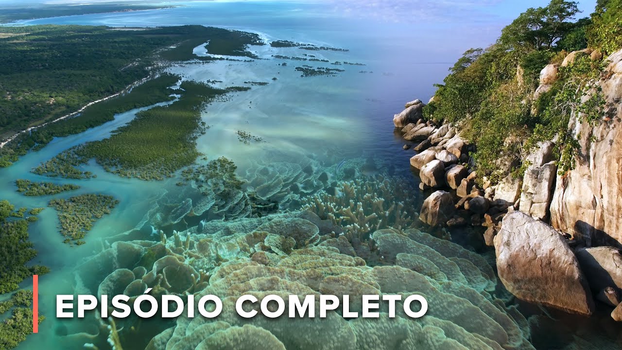 Creaturas Marinhas &Uacute;nicas & Jardins de Corais | &Aacute;frica: Maravilhas do Mundo Marinho 103+104+105