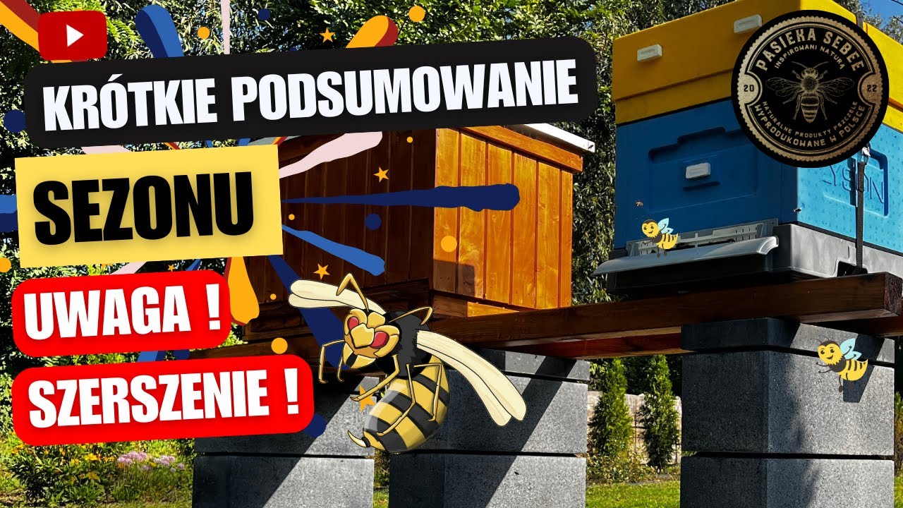 Krótkie podsumowanie sezonu - Uwaga Szerszenie! - Pasieka SeBee