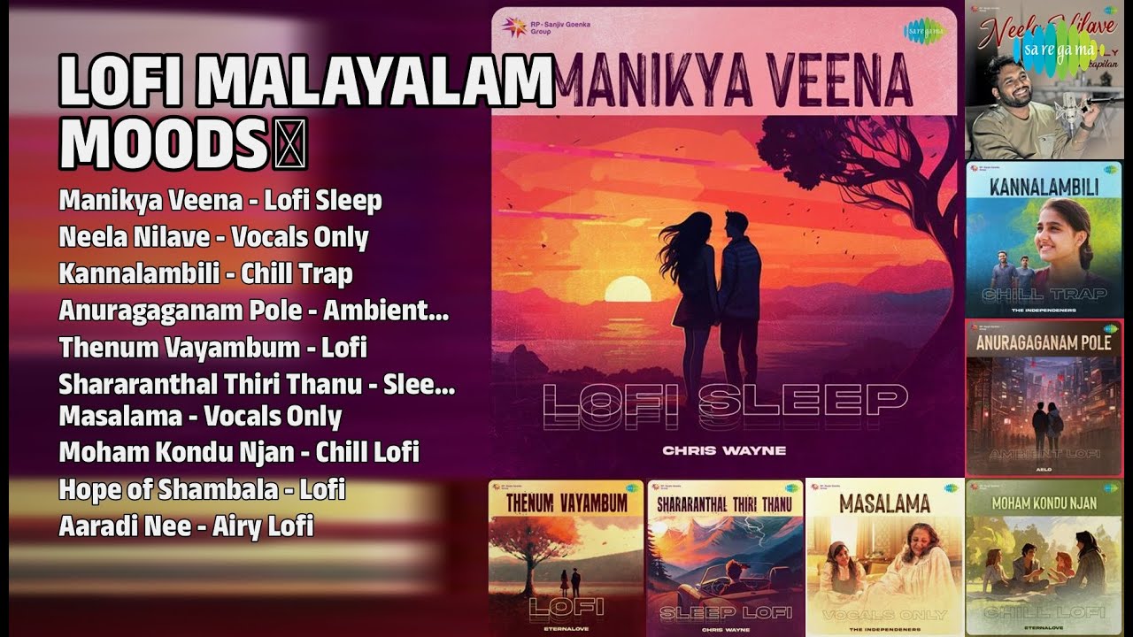 LoFi Music അനുഭൂതി ✨ | Chris Wayne Songs | Manikya Veena  Lofi Sleep