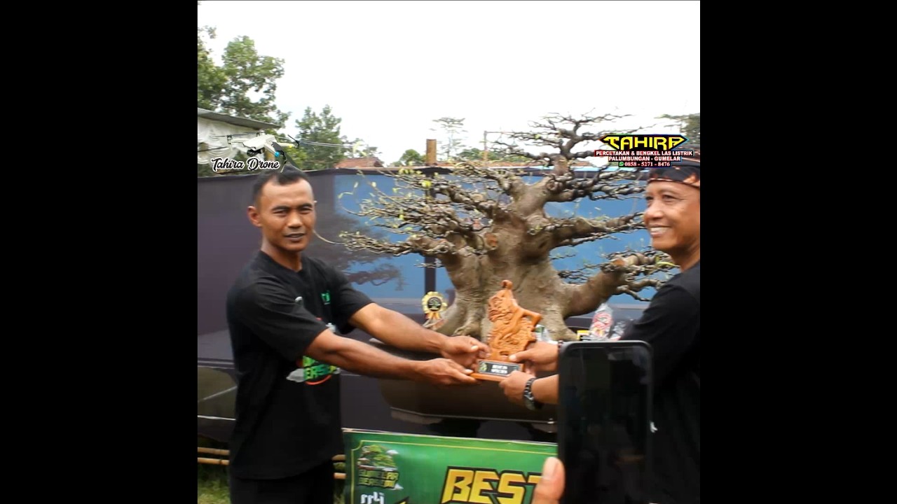 PAMERAN BONSAI GUMELAR