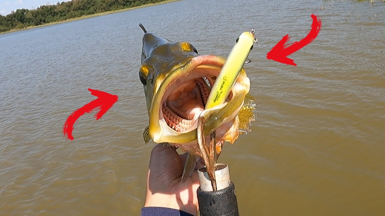 TEM GENTE QUE NÃO ACREDITA MAS ELES ESTAVAM ERA NA ÁGUA SUJA!! PESCARIA