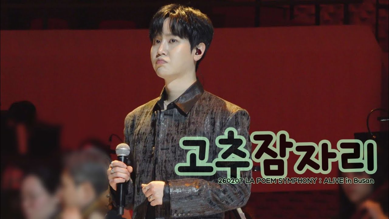 [4K] 고추잠자리- 최성훈 Focus (라포엠 LAPOEM) / 260207 LA POEM SYMPHONY : ALIVE in Busan