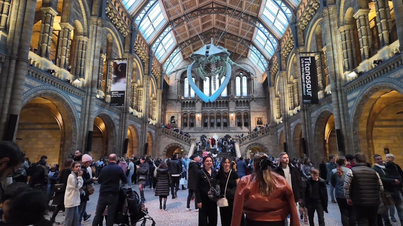 Exploring London's Natural History Museum | Over 80 Million Items!