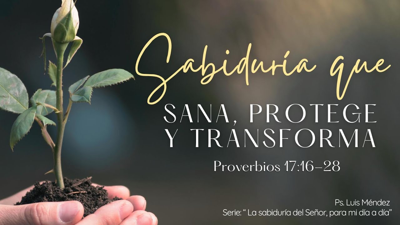 Sabiduría que Sana, Protege y Transforma- Proverbios 17:16-28