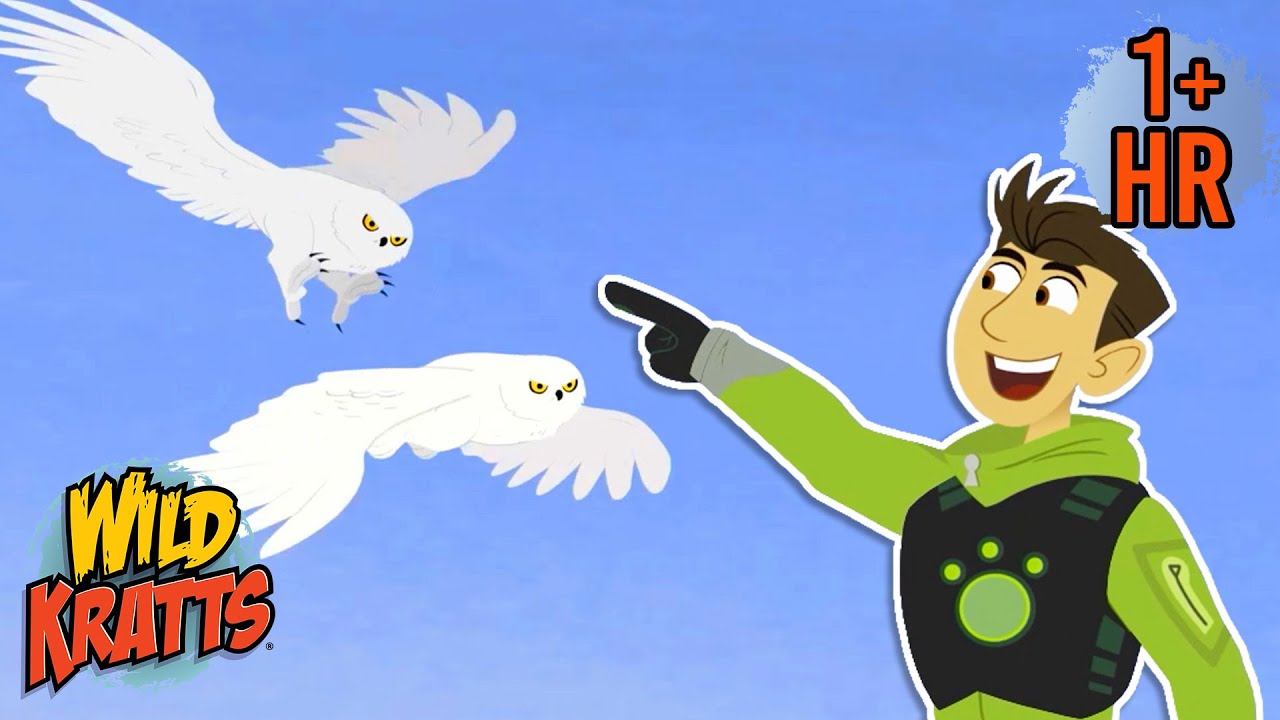 Snowy Owl Showdown | Epic Creature Battles | Christmas & Winter Holidays | Wild Kratts