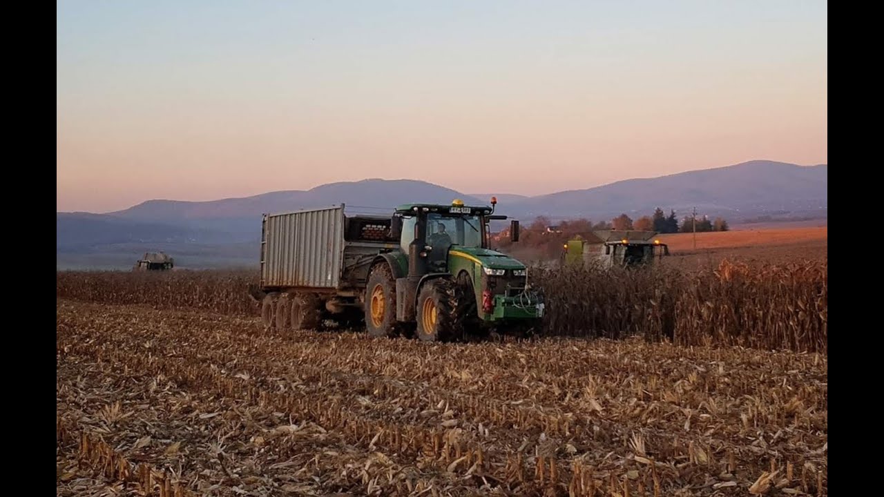 2x Claas Lexion 670, 570 JD 8320R Corn Harvest/Kukorica aratás Part 2 Palotabozsoki Zrt. 2020