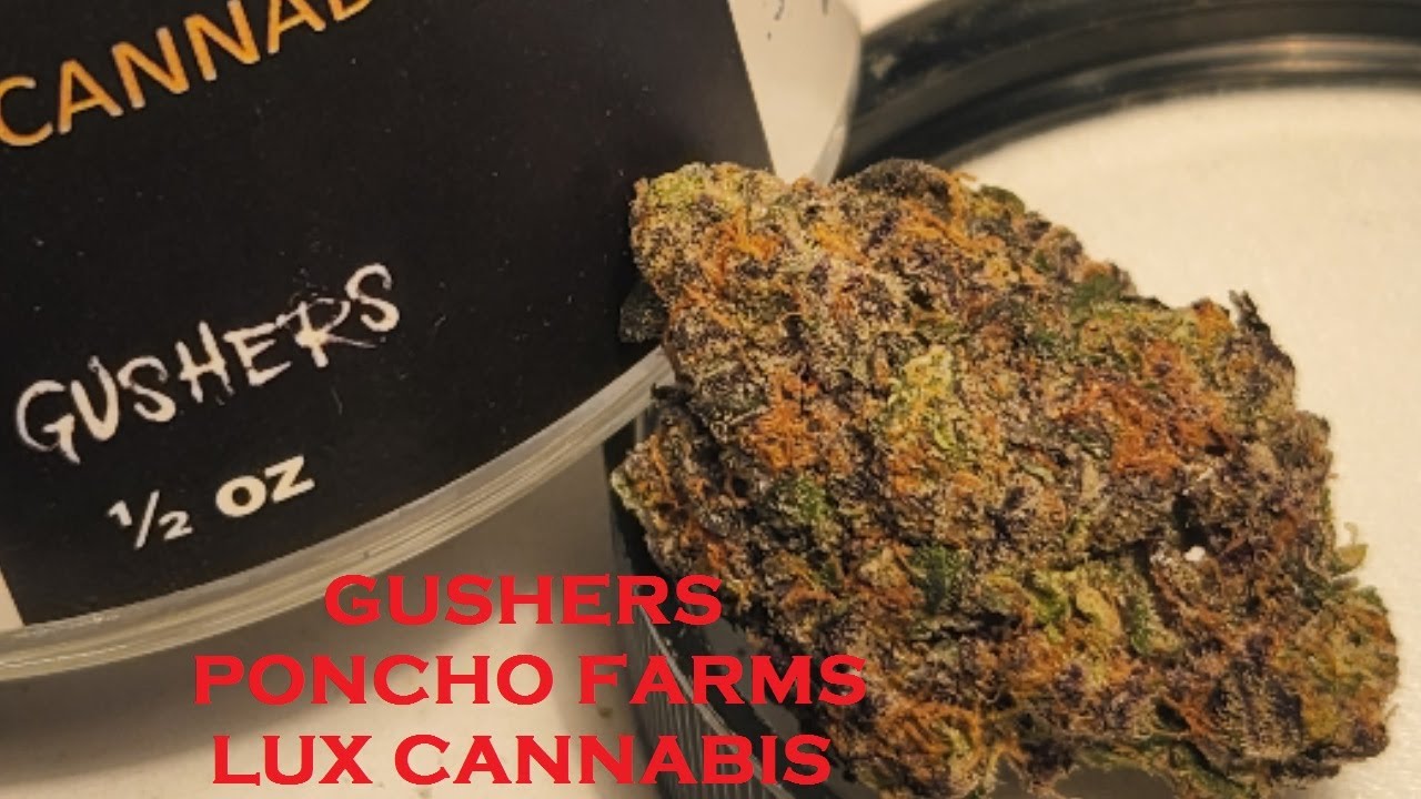 Gushers - Poncho Farms Review ??/30