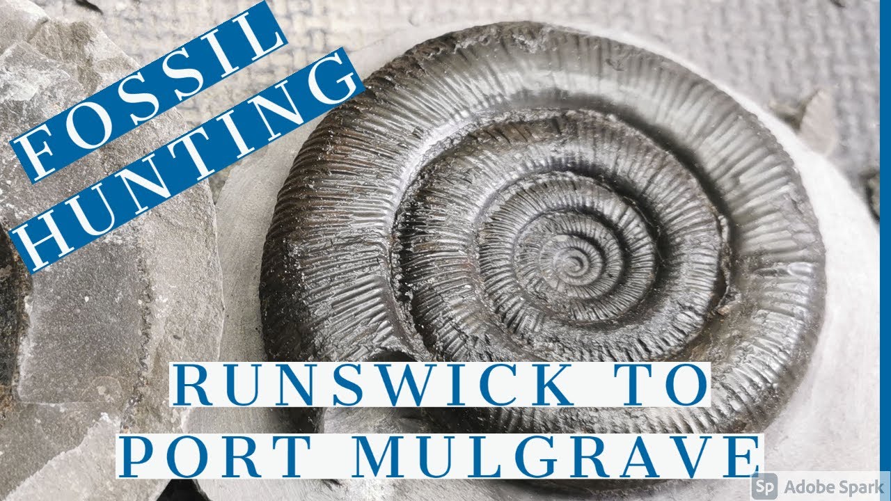 Fossil hunting Runswick to Port Mulgrave