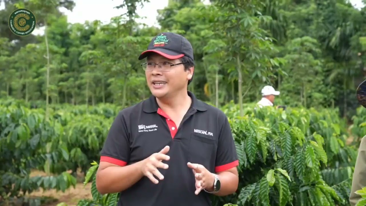 កាហ្វេជាប្រភេទដំណាំពិភពលោក