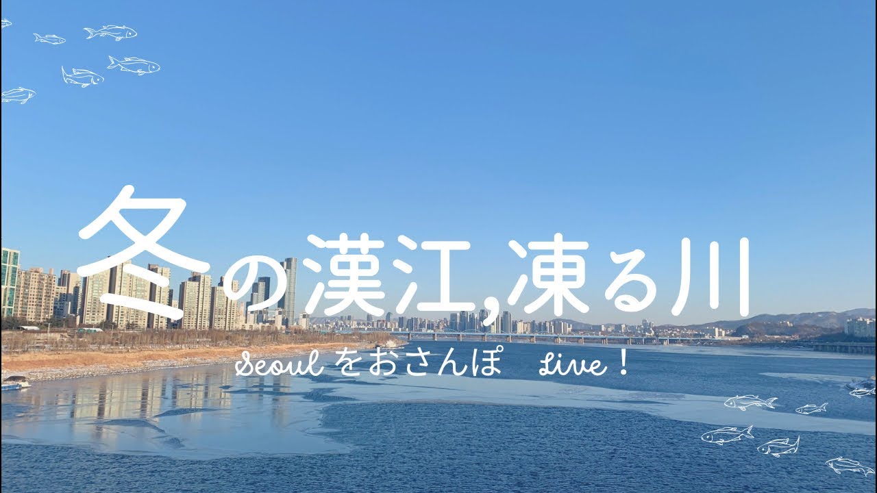 Live！冬の漢江、氷を探しに