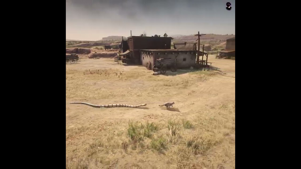 Cat Impossible escape from Snake