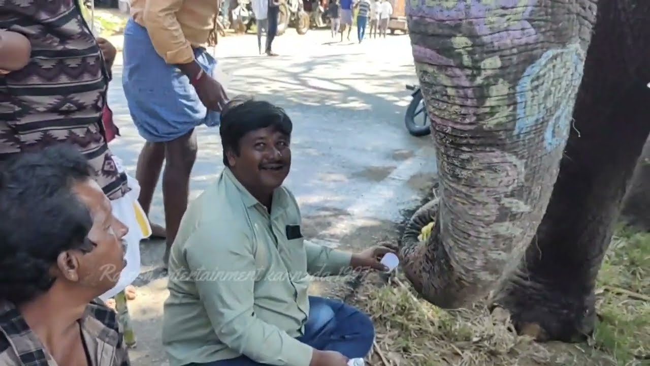 ಗಜಲಕ್ಷ್ಮಿಯ ಮೇಲೆ ಪ್ರಾಣವನ್ನೇ ಇಟ್ಟುಕೊಂಡಿದ್ದಾರೆ ಮಾವುತ ಸಲೀಂ ಭಾಯ್ ...