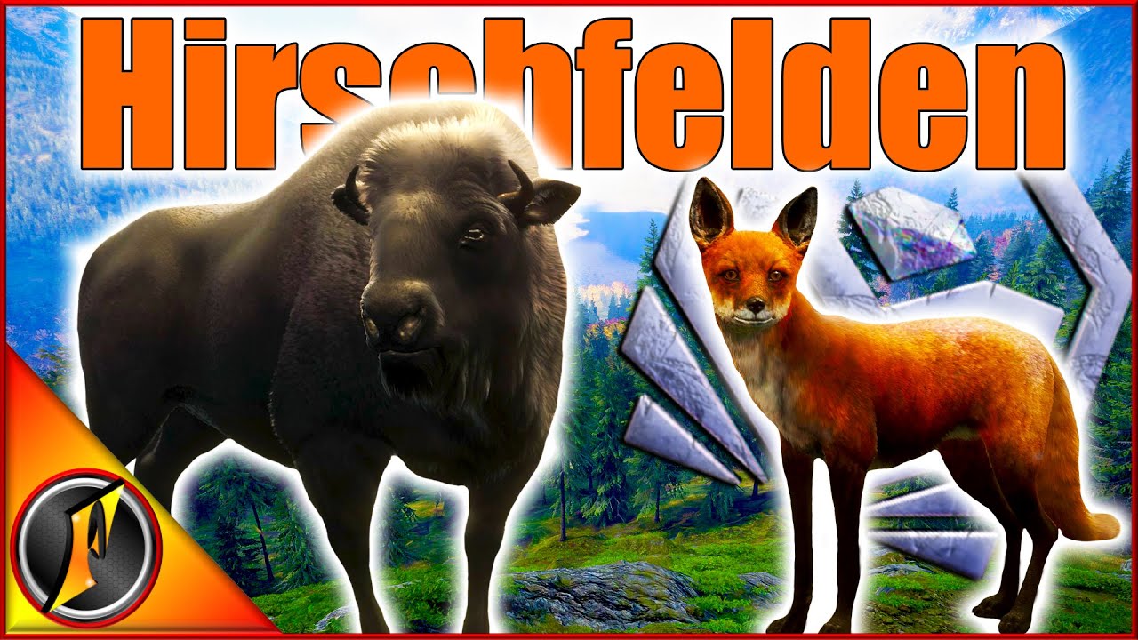 Our Best Hirschfelden Hunt Ever??? | Diamond Red Fox & Mela Euro Bison!