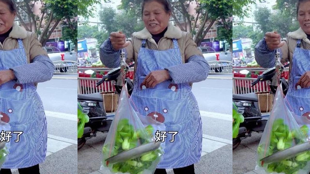 丈母娘种的菜卖得了，摘6种新鲜蔬菜去摆摊，看看卖了多少钱#我的乡村生活 #新鲜采摘 #蔬菜 #丈母娘 #摆摊