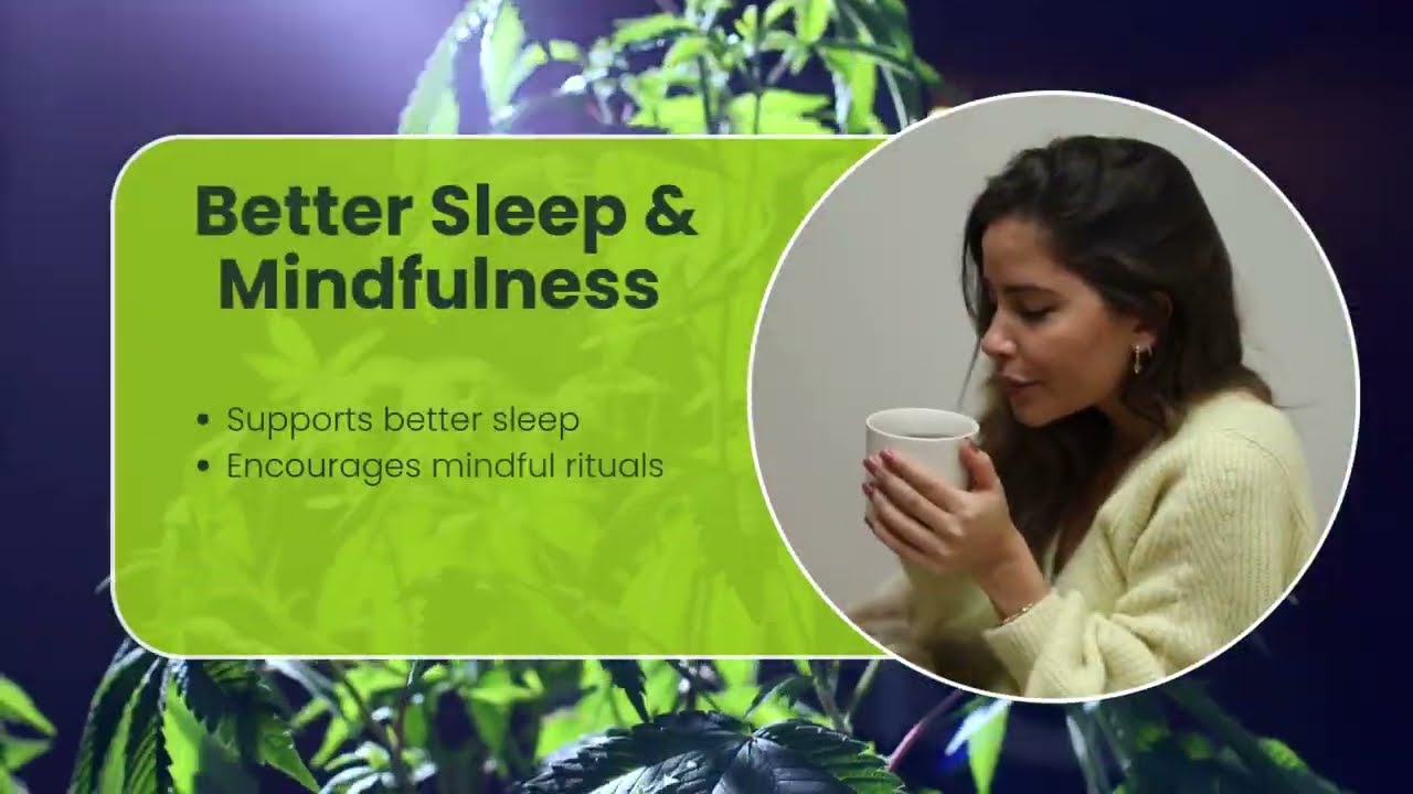 Top Benefits Of Drinking CBD Tea