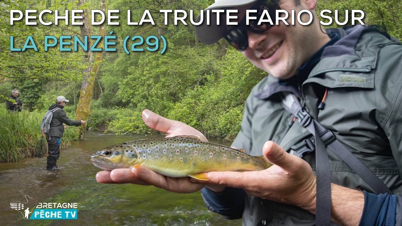 Pêche de la Truite fario sur la Penzé (29)
