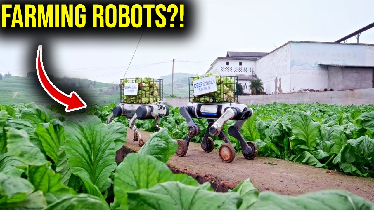 Robot Dogs Take Over Farming & Industry – AI Is Replacing Human Labor