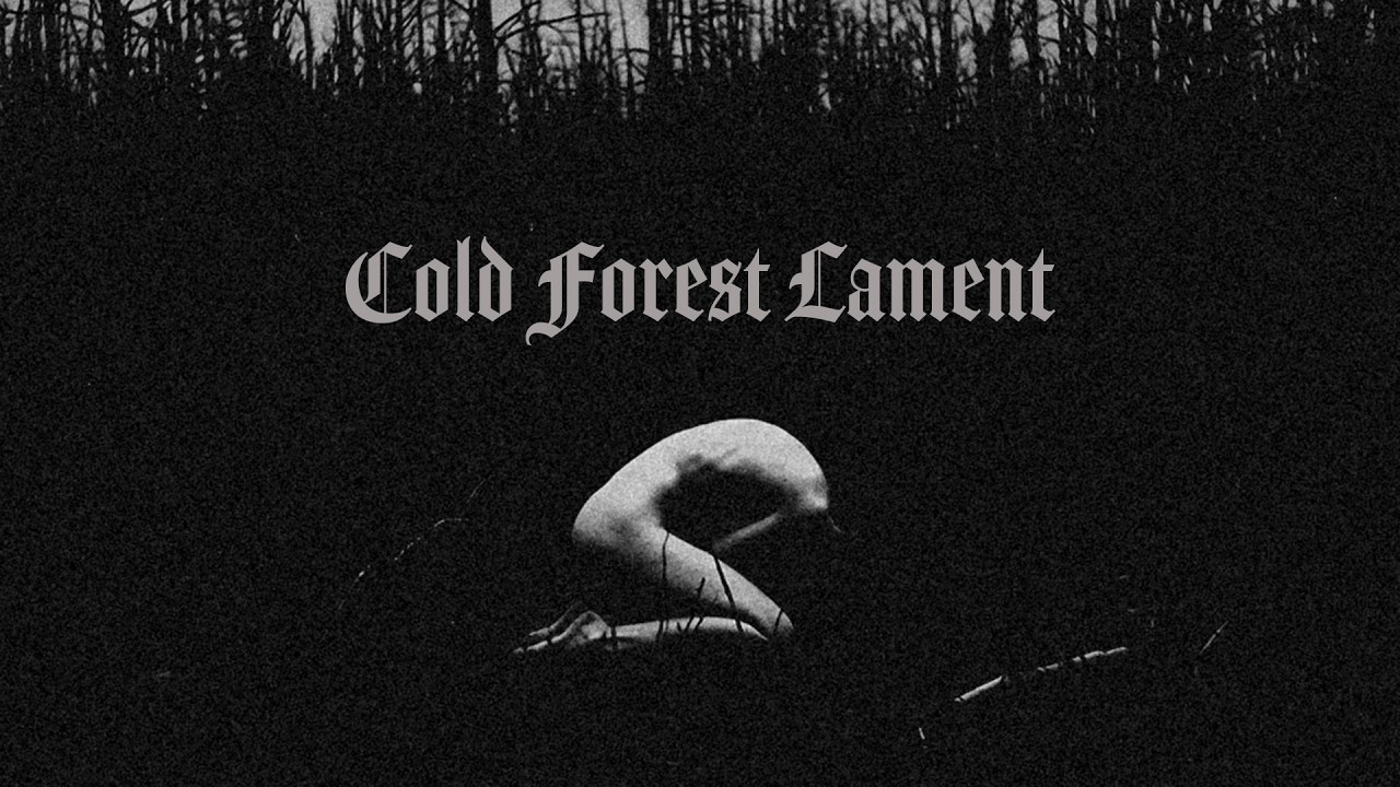 Atmospheric Black Metal Instrumental – Cold Forest Lament (Full Album)