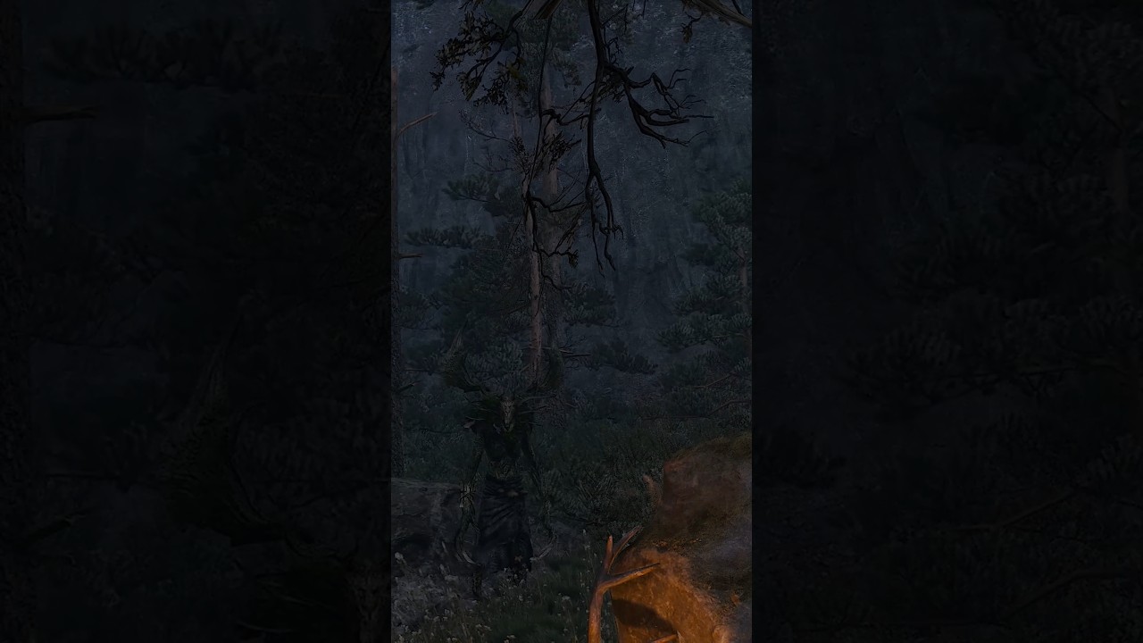 90% of the players missed this Hidden Detail in Skellige - Witcher 3