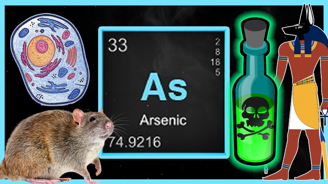 What is ARSENIC? | History, Poison, and Modern Uses