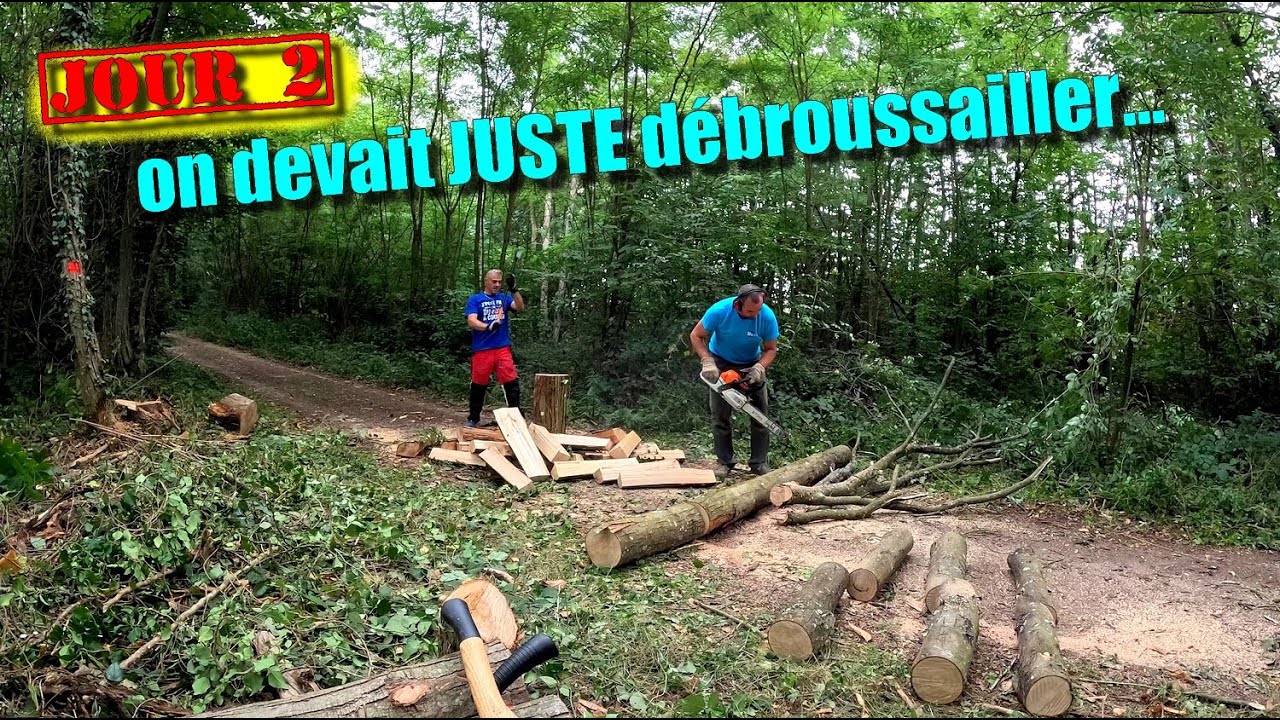 [EN MODE BUCHERON] FP2 à la base on devait JUSTE débroussailler 🌳🪓🪵🪚🌲