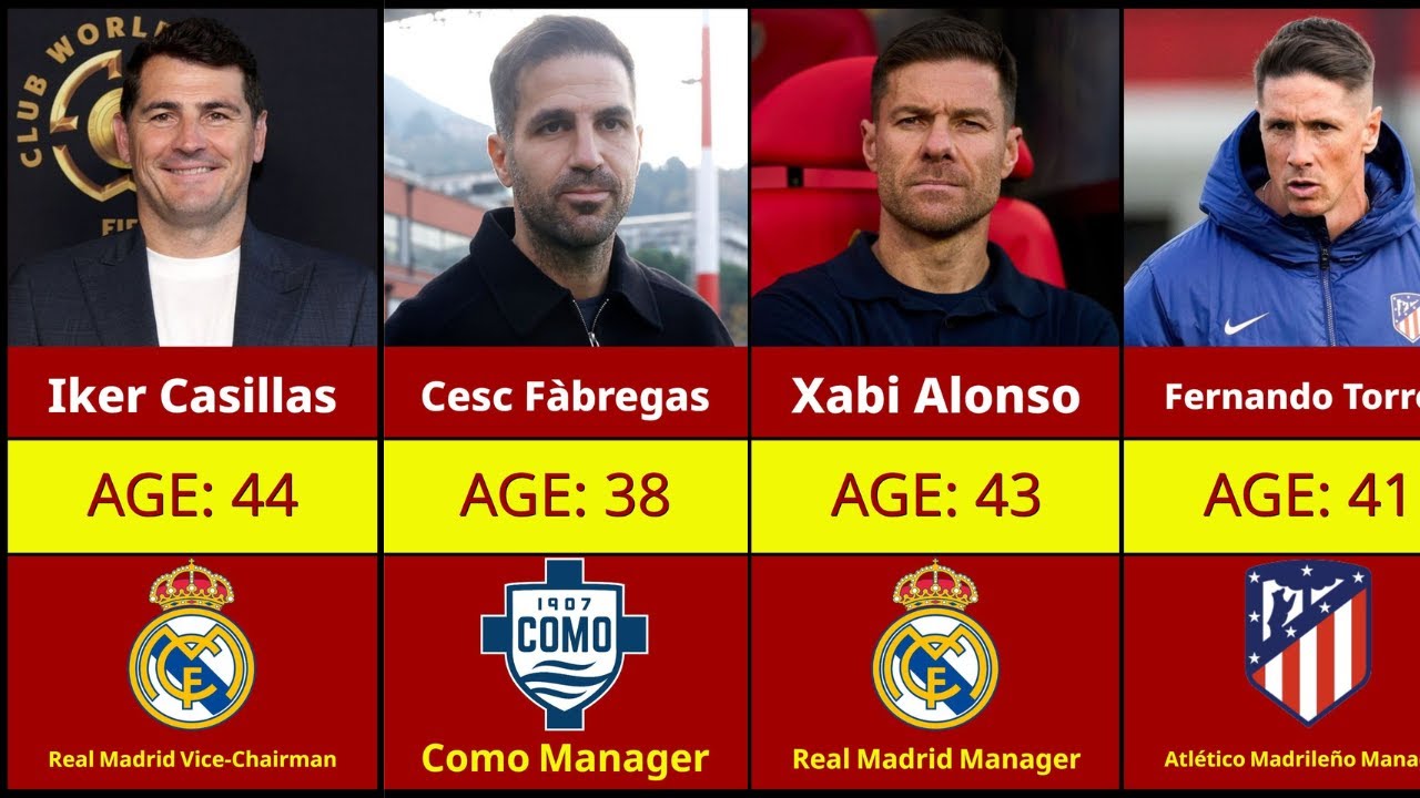 Spain 2010 World Cup Winning Squad: Where Are They Now?