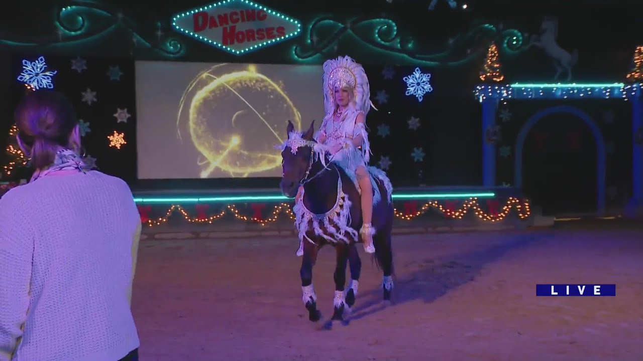 Around Town - The Dancing Horses