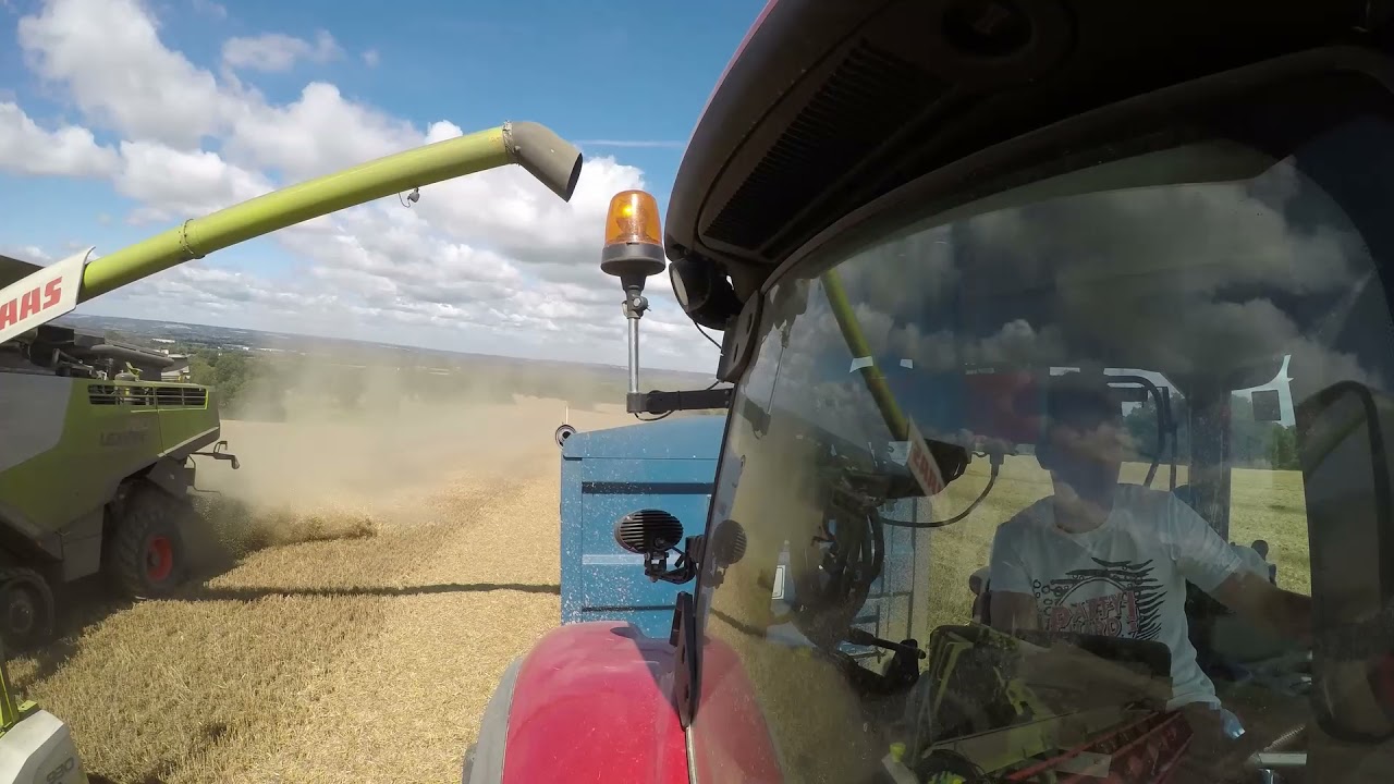 Harvest 2018 for living land