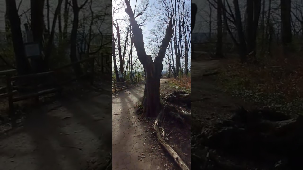 Was der Weg hergibt-Rabenlay #wege #way #views