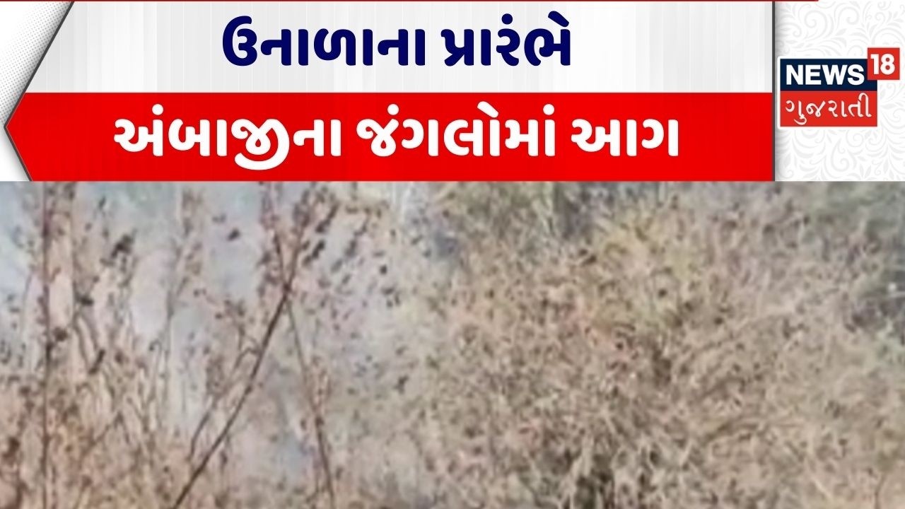 Ambaji Forest | ઉનાળાના પ્રારંભે અંબાજીના જંગલોમાં આગ | Banaskantha | Gujarat | News 18 Gujarati