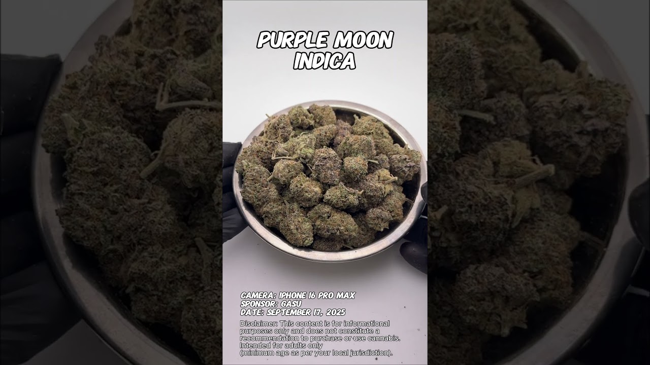 Purple Moon | Gasu Sponsored | Strain Spotlight