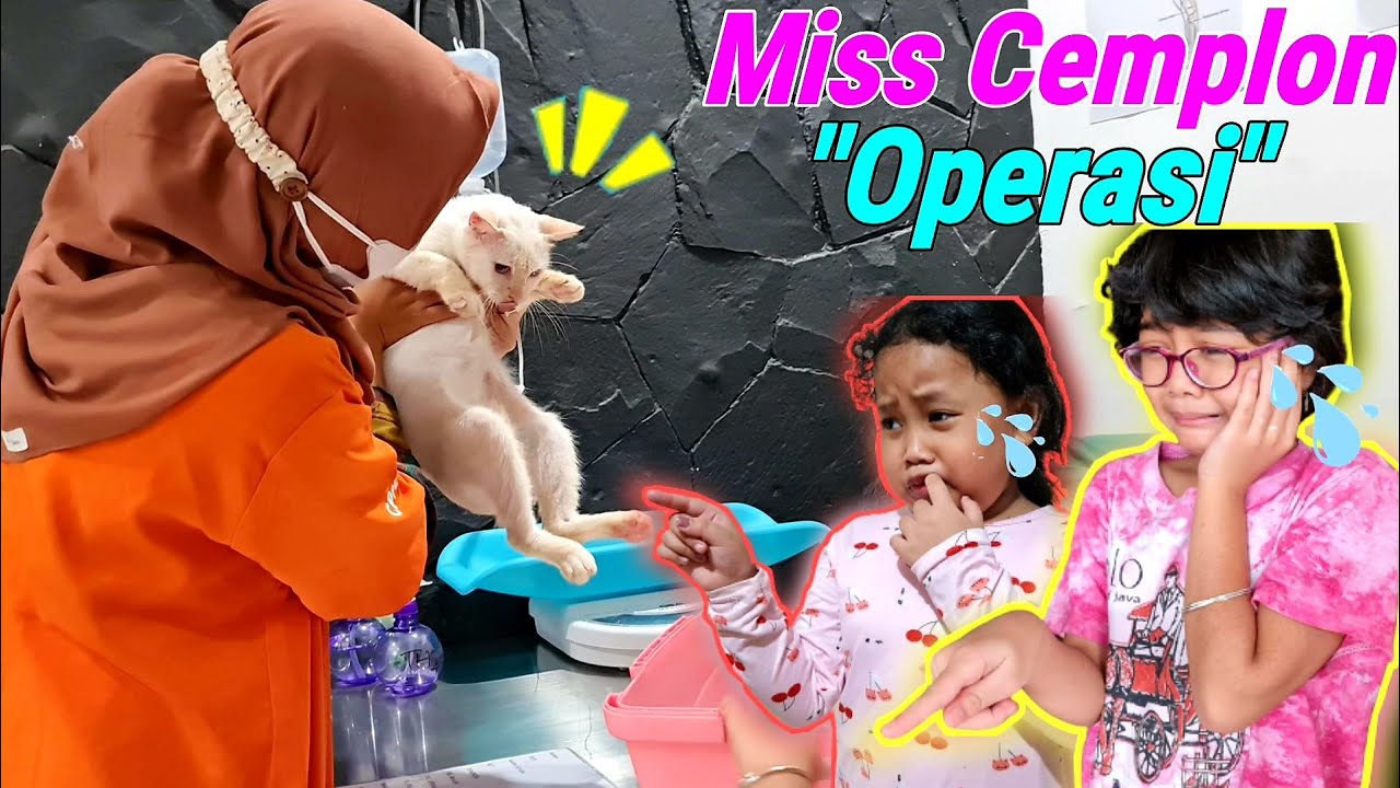 DAILY VLOG HANUM 💞 BAWA KUCING Miss Cemplon OPERASI STERIL ke DOKTER 💞 Shafeea Hanum