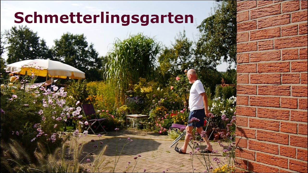 Schmetterlinge im Garten - Fantastisch!