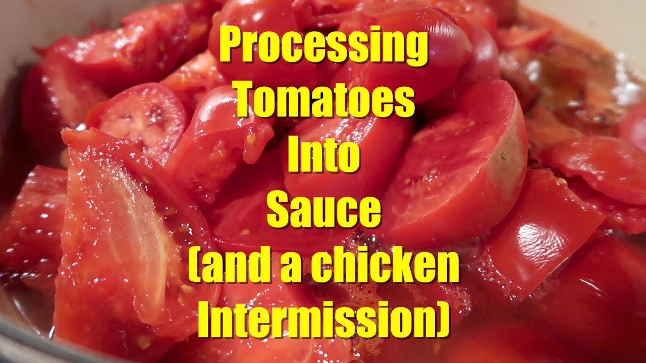 Processing Tomatoes into Sauce using a Food Mill