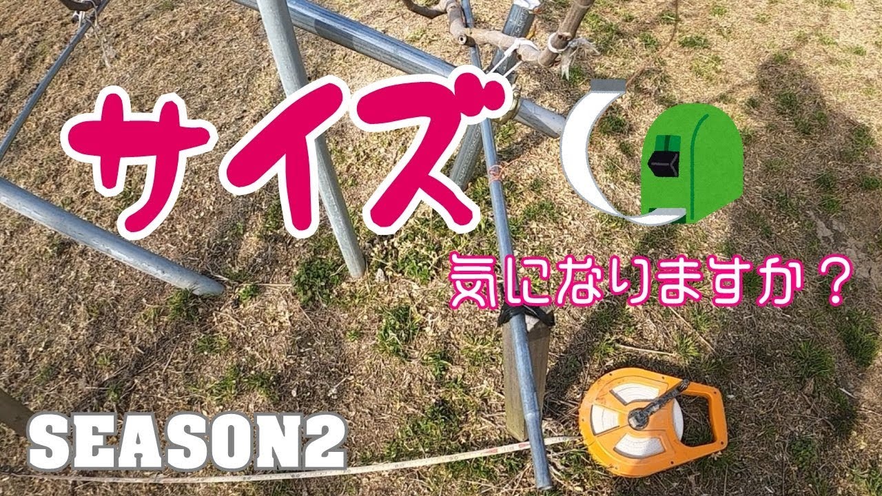 いちじくVlog　#04　いちじくの株間などのサイズ色々と測定しました　SEASON2