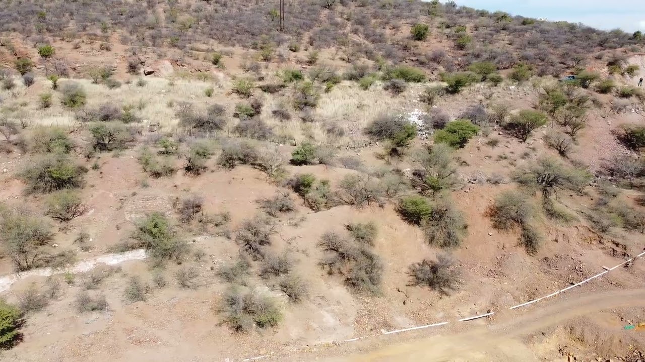 Magistral del Oro  Durango! 🇲🇽