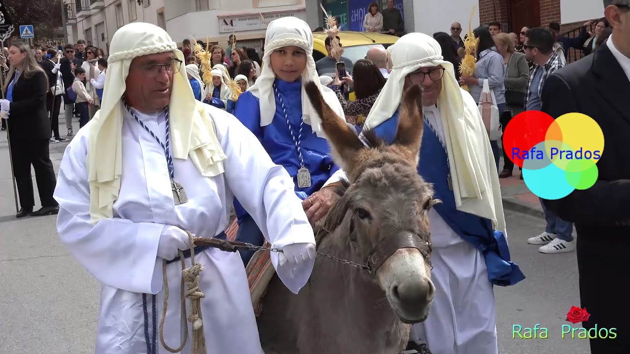 Procesión del Domingo de Ramos en Íllora (Granada). 13-4-2025