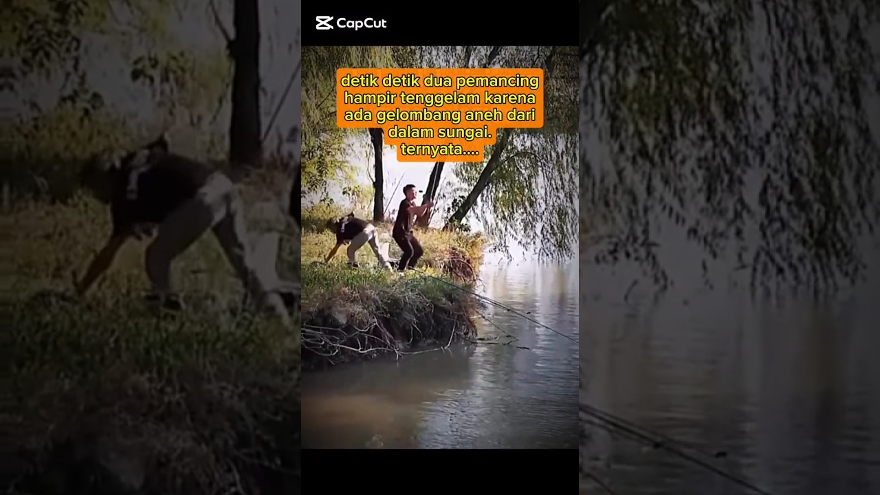 Detik detik munculnya monster sungai ikan tapah yang bisa memangsa manusia #ikantapah