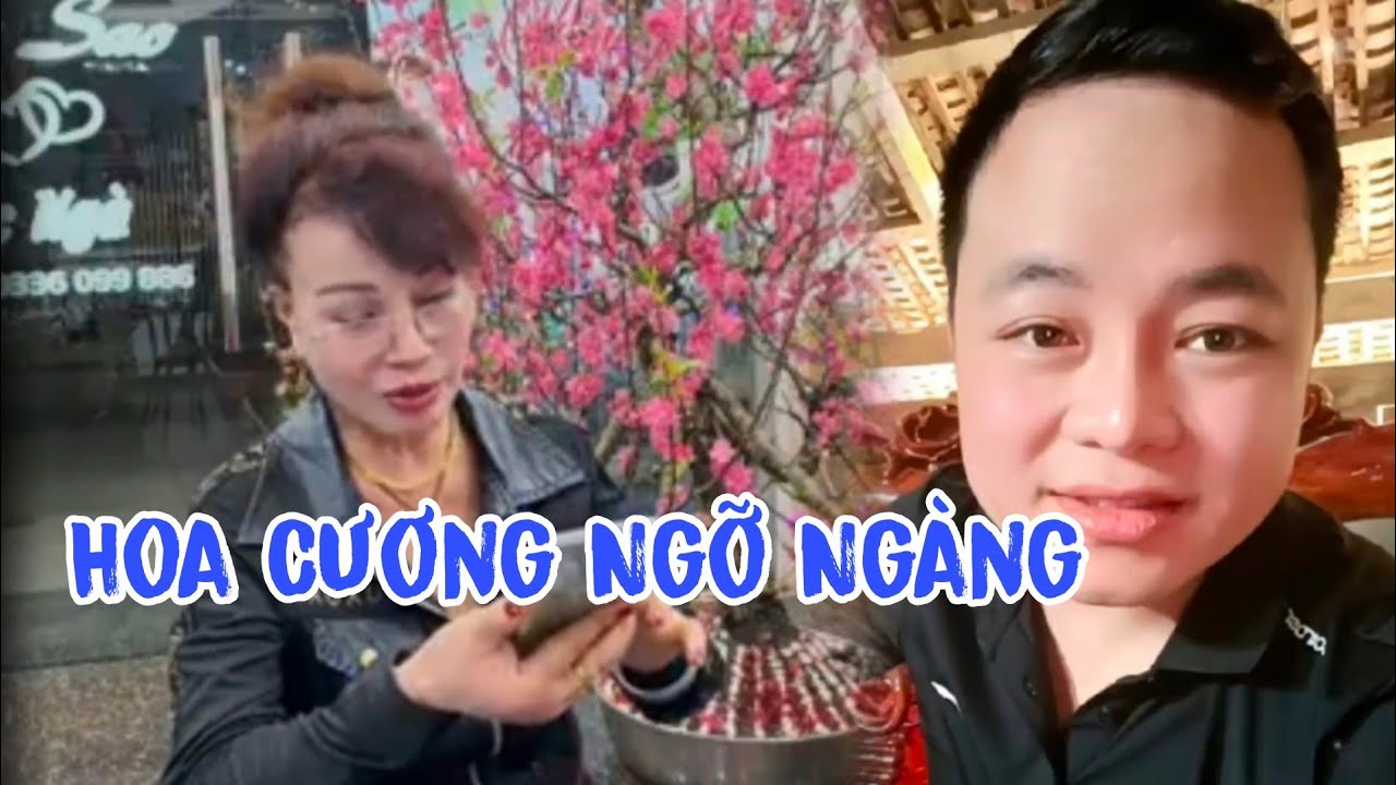 Thu Sao Đáp Nhẹ Hoa Cương 