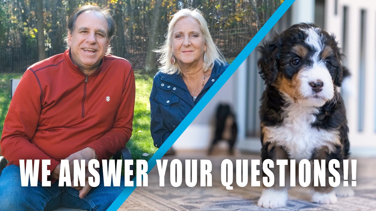 What Makes a REPUTABLE Dog Breeder?: Guardian Home Puppy Vlog Ep. #5