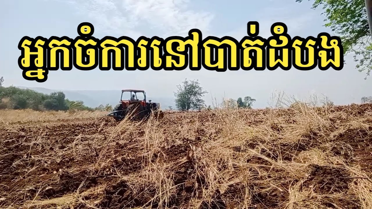 អ្នកចំការនៅបាត់ដំបង