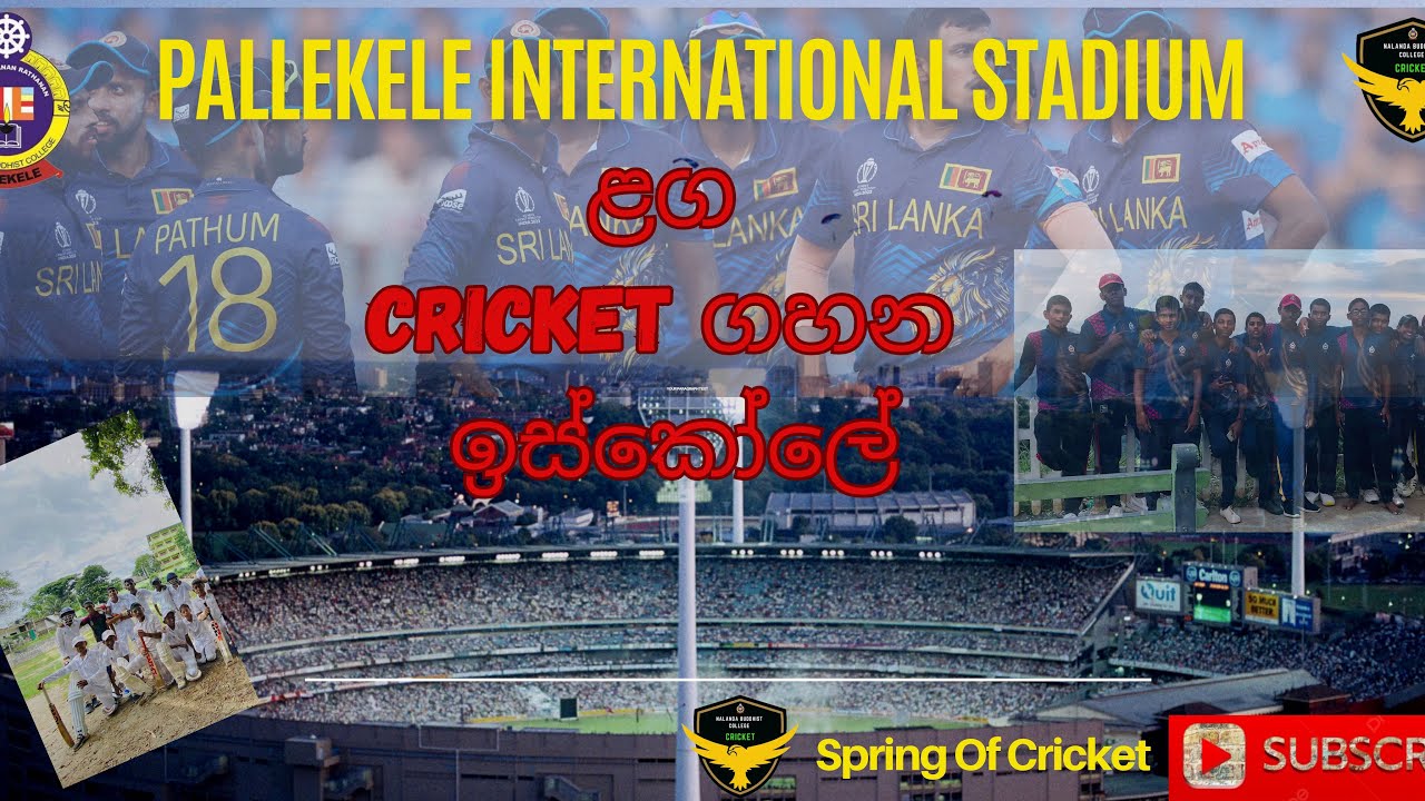 🏏 Pallekele International Stadium එක ළග ක්‍රිකට් ගහන ඉස්කෝලේ 🏏