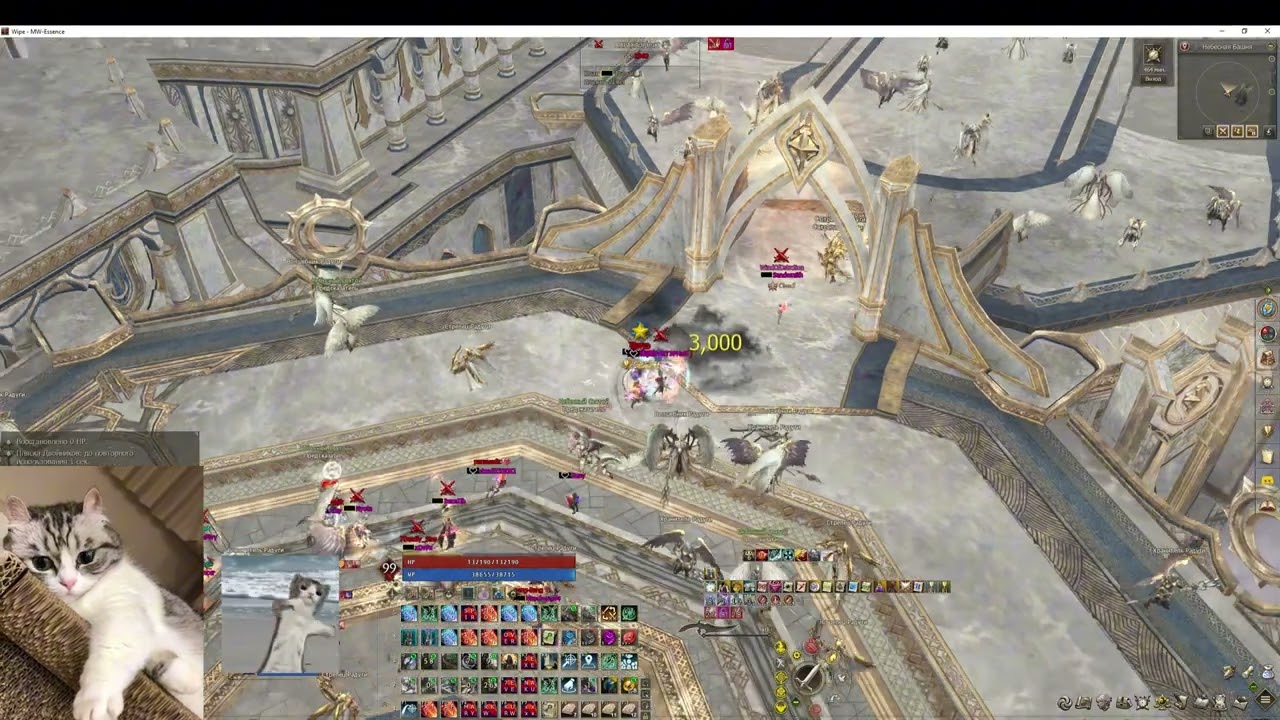 July-October 2024 | Fights Compilation | MW Essence