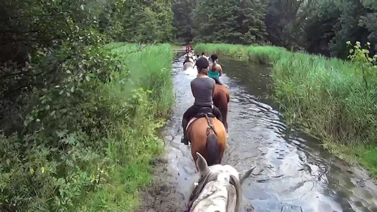 De duik (Ponykamp bij De Ripse Ruiters 2013)