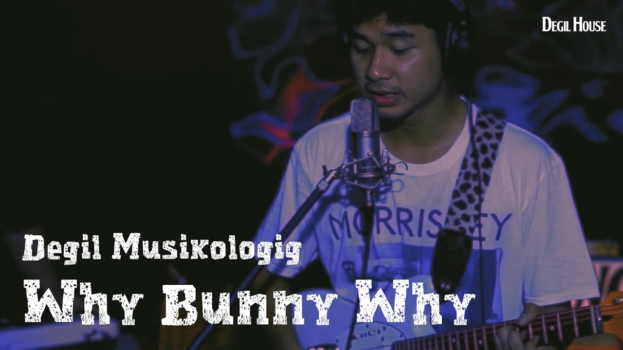 DEGIL MUSIKOLOGIG - WHY BUNNY WHY (Live Session) #cut #promnight #tragis #whybunnywhy