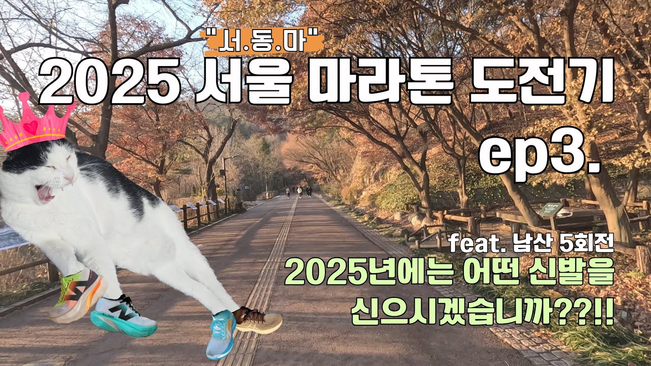 2025 서울 마라톤 ep3 | 남산 5회전 | 2025년 러닝화는 무엇을 살까요?? 여러분은 무엇을 선택 하셨습니까?