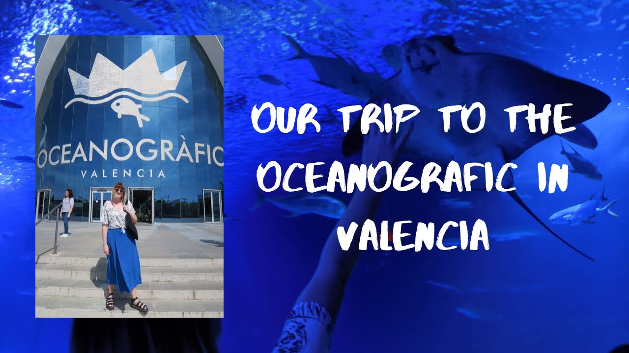 Visiting the Oceanografic in Valencia | Architecture, Aquarium and Greek Food | Little Owl Vlogs
