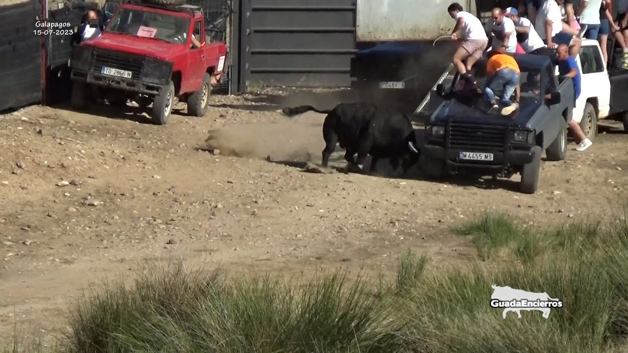 Susto a un caballo Encierro Campero de Galápagos 15-07-2023 GuadaEncierros